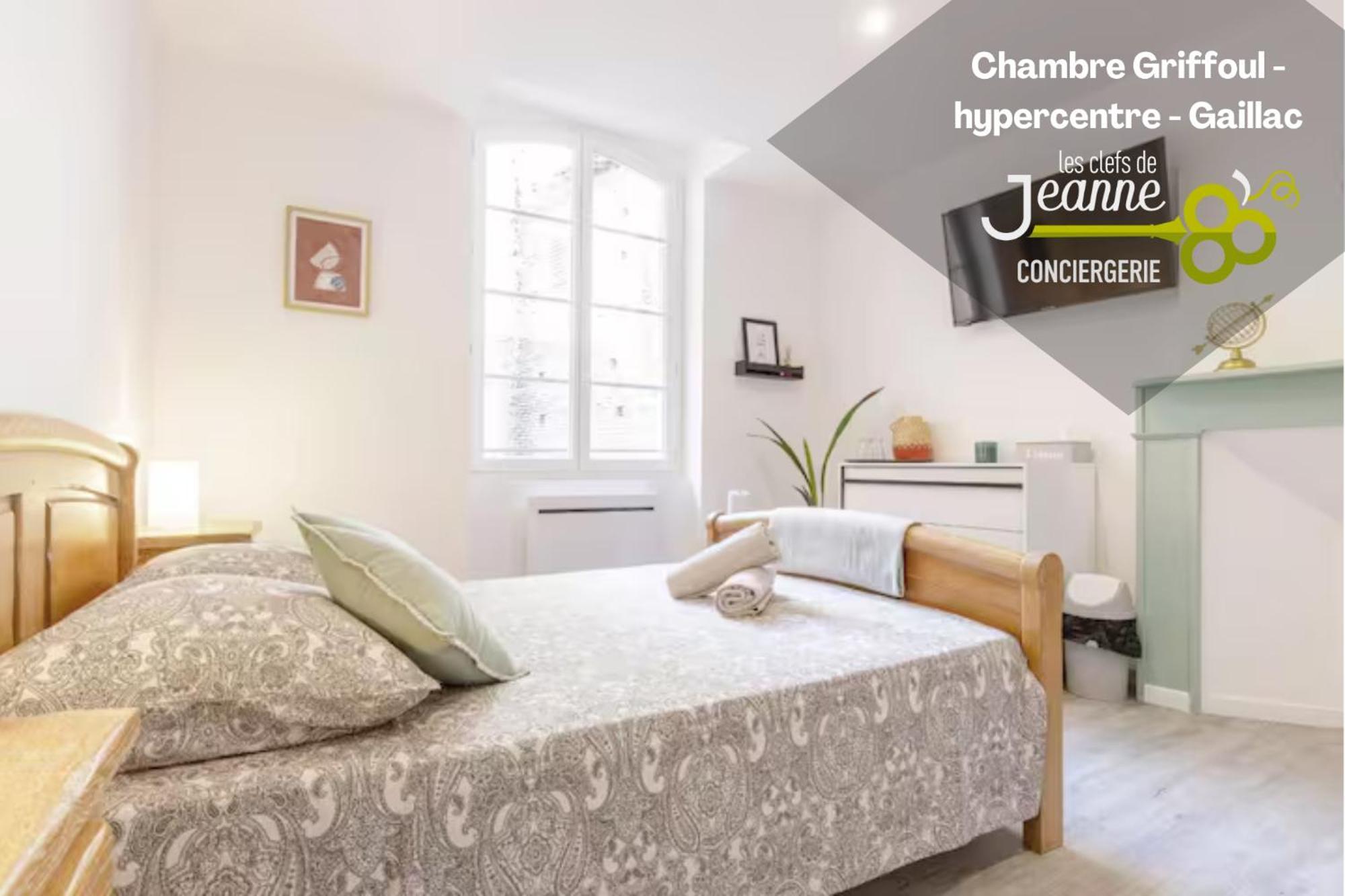 Chambre Griffoul - Hypercentre - Gaillac Luaran gambar